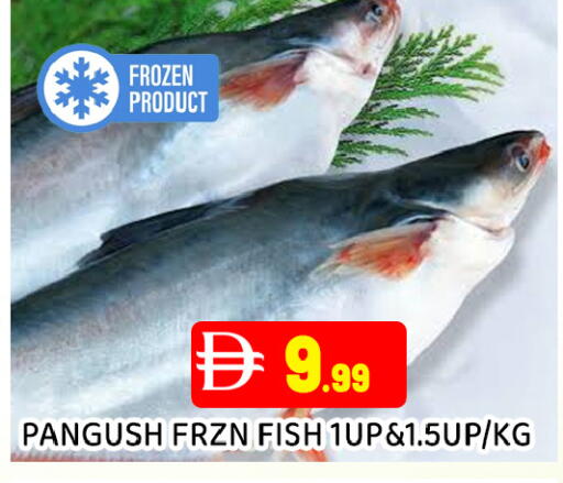 available at عين المدينة هايبرماركت in الإمارات العربية المتحدة , الامارات - الشارقة / عجمان