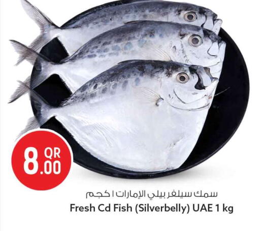 available at سفاري هايبر ماركت in قطر - أم صلال