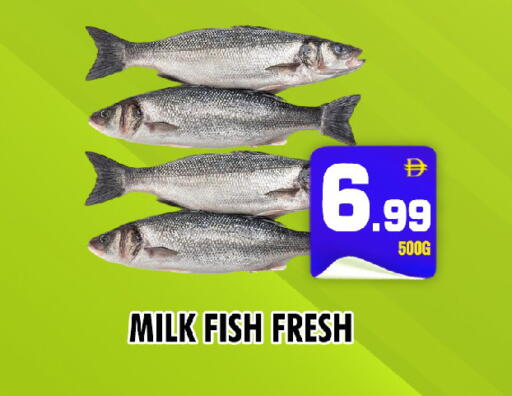 available at نايت تو نايت in الإمارات العربية المتحدة , الامارات - الشارقة / عجمان