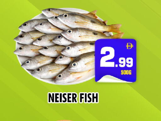 available at NIGHT TO NIGHT DEPARTMENT STORE in UAE - Sharjah / Ajman