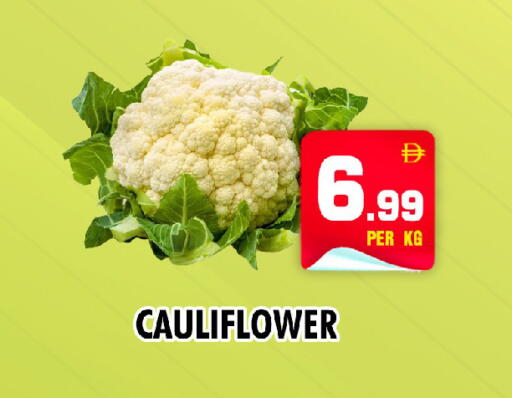 Cauliflower available at نايت تو نايت in الإمارات العربية المتحدة , الامارات - الشارقة / عجمان