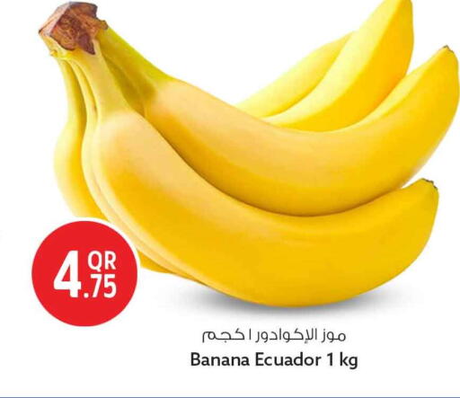 Banana from Ecuador available at سفاري هايبر ماركت in قطر - أم صلال