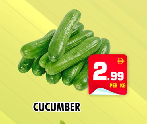 Cucumber available at نايت تو نايت in الإمارات العربية المتحدة , الامارات - الشارقة / عجمان