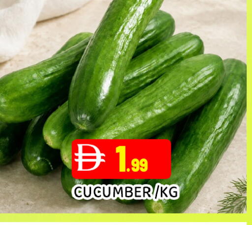 Cucumber available at عين المدينة هايبرماركت in الإمارات العربية المتحدة , الامارات - الشارقة / عجمان