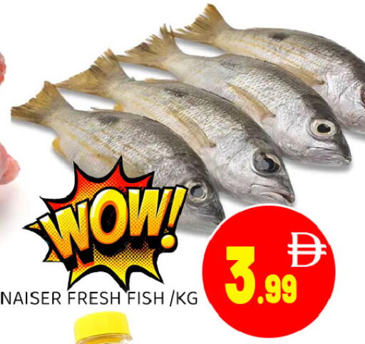 available at عين المدينة هايبرماركت in الإمارات العربية المتحدة , الامارات - الشارقة / عجمان