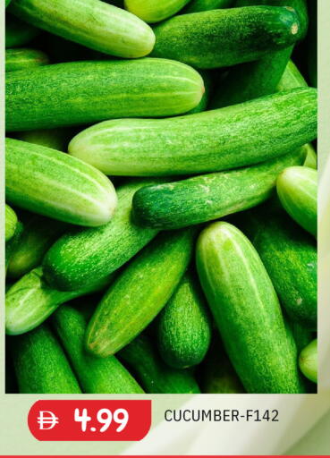 Cucumber available at TALAL MARKET in UAE - Sharjah / Ajman