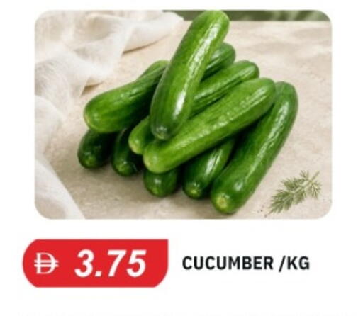Cucumber متوفر لدى سوق طلال في الإمارات العربية المتحدة , الامارات - أبو ظبي