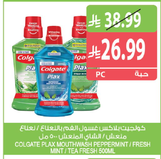 Mint متوفر لدى المزرعة في مملكة العربية السعودية, السعودية, سعودية - الخرج