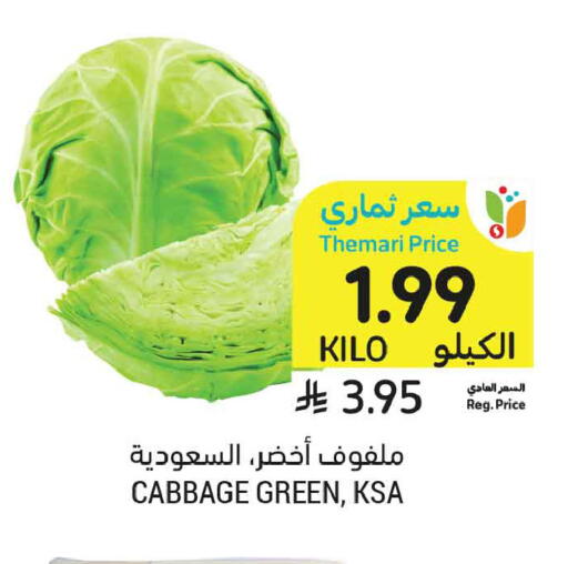 Cabbage available at Tamimi Market in KSA, Saudi Arabia, Saudi - Medina