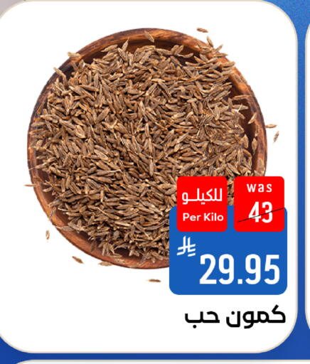 متوفر لدى شبرا الطائف في مملكة العربية السعودية, السعودية, سعودية - مكة المكرمة