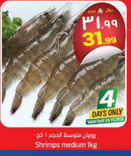 available at City Flower in KSA, Saudi Arabia, Saudi - Hail