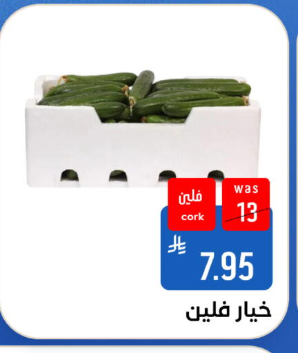 متوفر لدى شبرا الطائف في مملكة العربية السعودية, السعودية, سعودية - مكة المكرمة