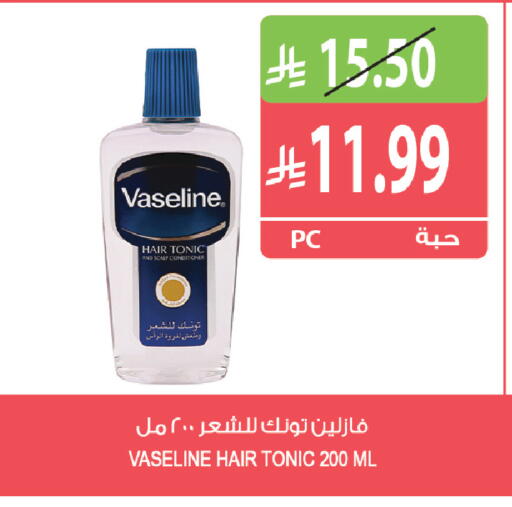 available at Farm  in KSA, Saudi Arabia, Saudi - Yanbu