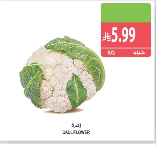 Cauliflower available at Farm  in KSA, Saudi Arabia, Saudi - Tabuk