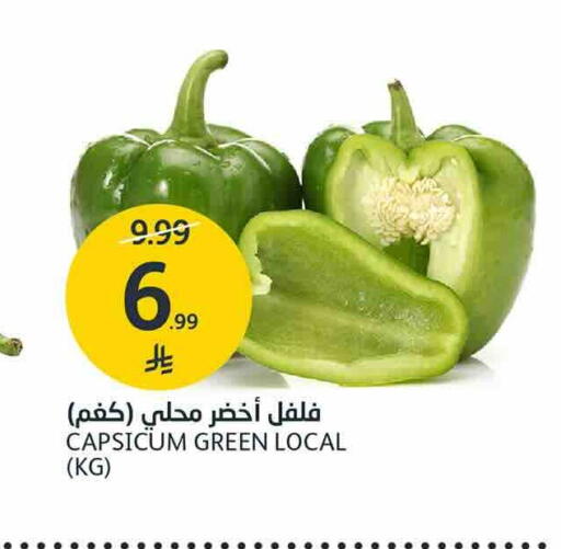Capsicum available at AlJazera Shopping Center in KSA, Saudi Arabia, Saudi - Riyadh