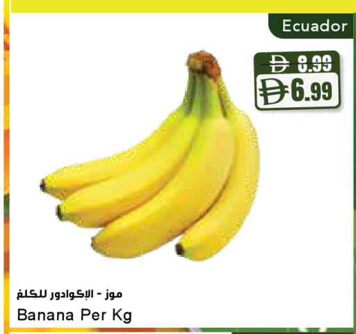 Banana from Ecuador available at Almaya Supermarkets in UAE - Dubai