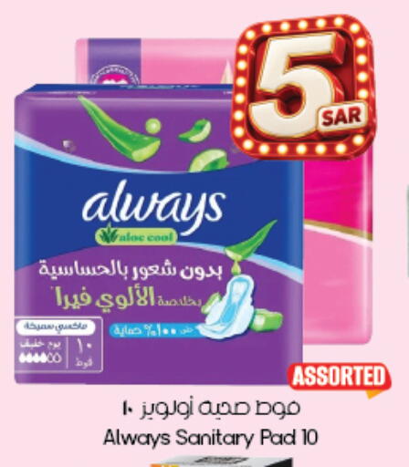 available at City Flower in KSA, Saudi Arabia, Saudi - Hafar Al Batin