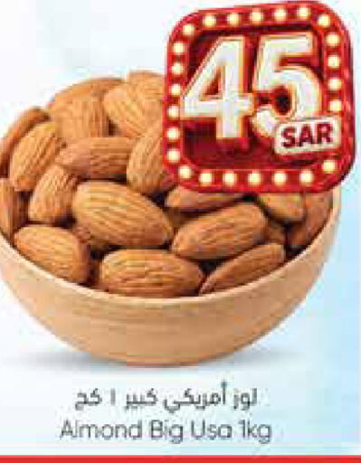 available at City Flower in KSA, Saudi Arabia, Saudi - Hail