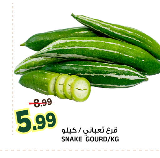 متوفر لدى المدينة هايبرماركت في مملكة العربية السعودية, السعودية, سعودية - الرياض