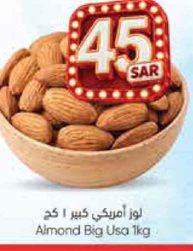 available at City Flower in KSA, Saudi Arabia, Saudi - Jubail