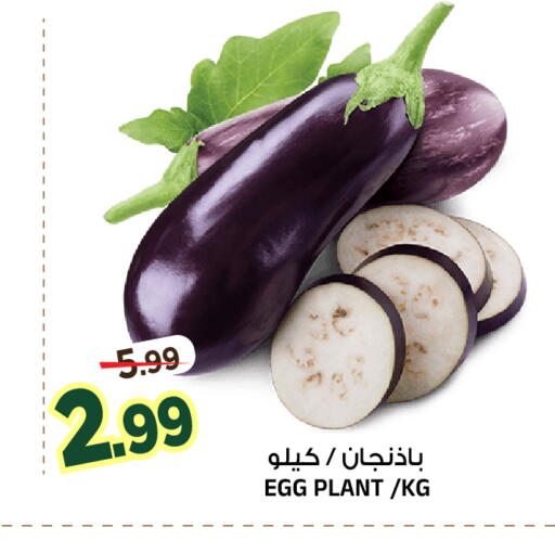 متوفر لدى المدينة هايبرماركت في مملكة العربية السعودية, السعودية, سعودية - الرياض