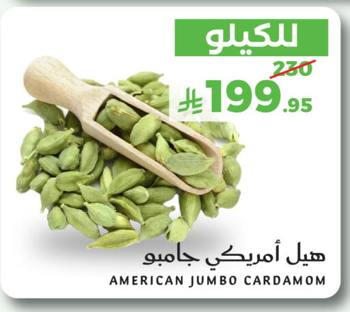 Cardamom متوفر لدى ميرا مارت مول في مملكة العربية السعودية, السعودية, سعودية - جدة