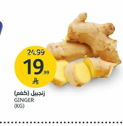 Ginger available at AlJazera Shopping Center in KSA, Saudi Arabia, Saudi - Riyadh