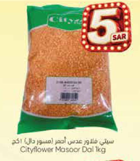 available at City Flower in KSA, Saudi Arabia, Saudi - Hail