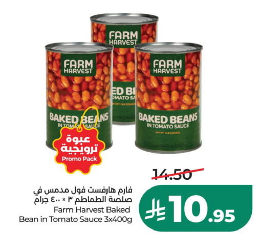 Tomato available at LULU Hypermarket in KSA, Saudi Arabia, Saudi - Hafar Al Batin