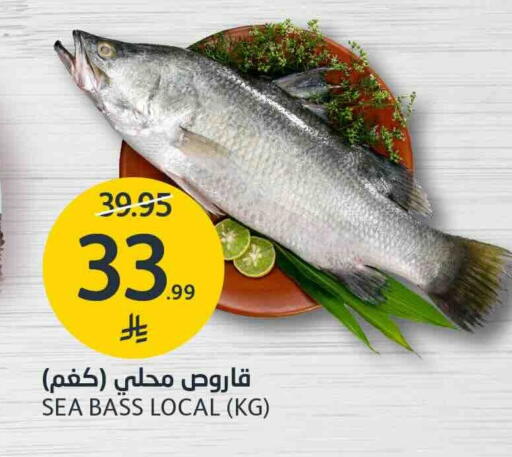 available at AlJazera Shopping Center in KSA, Saudi Arabia, Saudi - Riyadh