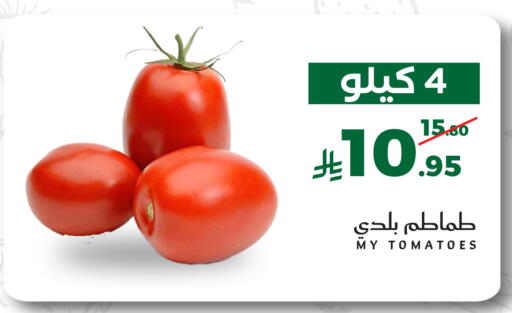 Tomato available at Mira Mart Mall in KSA, Saudi Arabia, Saudi - Jeddah