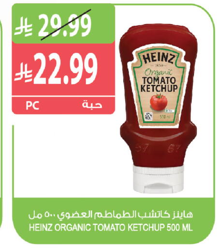 Tomato available at Farm  in KSA, Saudi Arabia, Saudi - Tabuk