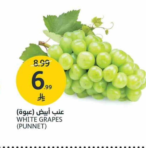 Grapes available at AlJazera Shopping Center in KSA, Saudi Arabia, Saudi - Riyadh