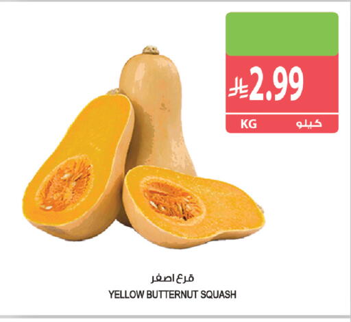 Squash متوفر لدى المزرعة في مملكة العربية السعودية, السعودية, سعودية - عرعر