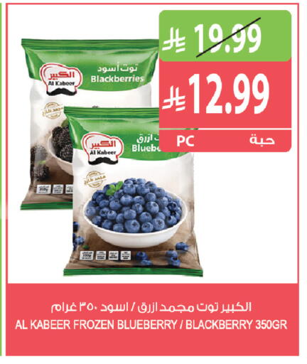 Blueberry BlueBerry Blackberry متوفر لدى المزرعة في مملكة العربية السعودية, السعودية, سعودية - جدة