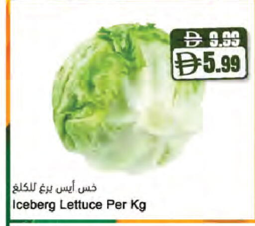 Lettuce متوفر لدى المايا سوبرماركت في الإمارات العربية المتحدة , الامارات - الشارقة / عجمان