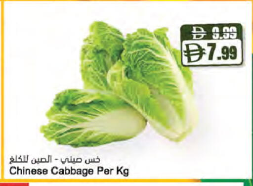 Cabbage من China متوفر لدى المايا سوبرماركت في الإمارات العربية المتحدة , الامارات - الشارقة / عجمان