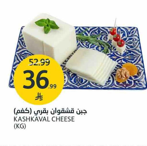 متوفر لدى أسواق الجزيرة في مملكة العربية السعودية, السعودية, سعودية - الرياض