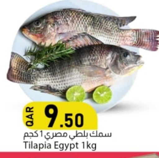 متوفر لدى دانا ماركت في قطر - الريان