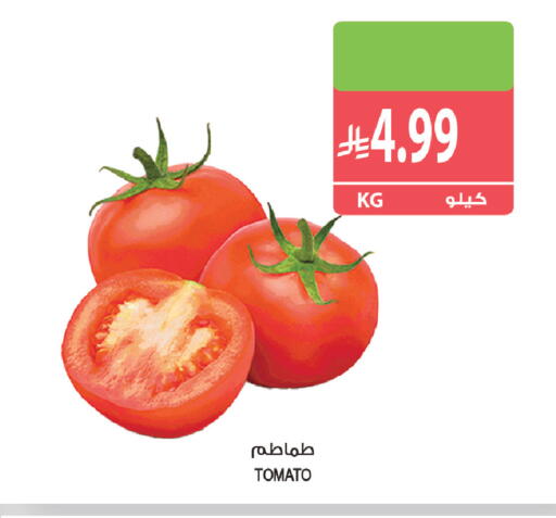 Tomato available at Farm  in KSA, Saudi Arabia, Saudi - Tabuk