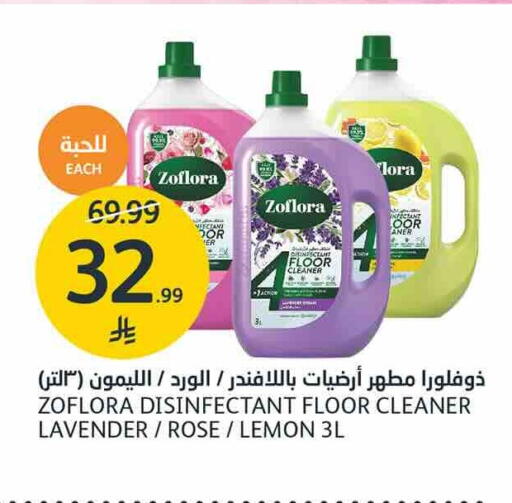 Lemon available at AlJazera Shopping Center in KSA, Saudi Arabia, Saudi - Riyadh