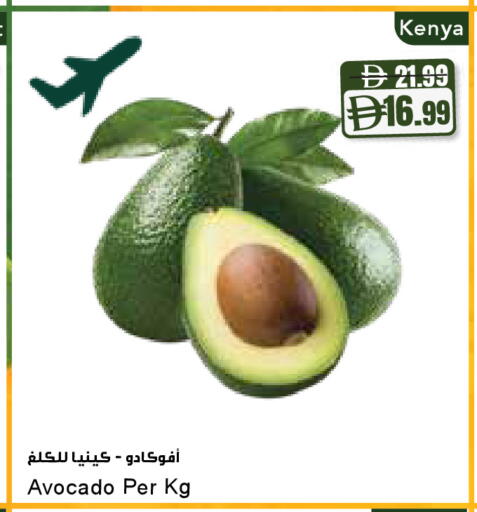 Avocado from Kenya available at Almaya Supermarkets in UAE - Dubai