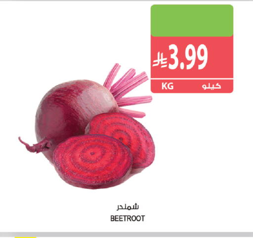 Beetroot available at Farm  in KSA, Saudi Arabia, Saudi - Tabuk