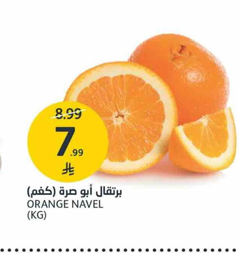 Orange available at AlJazera Shopping Center in KSA, Saudi Arabia, Saudi - Riyadh