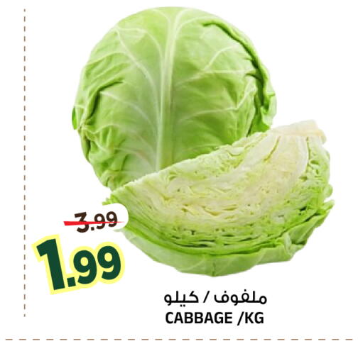 Cabbage متوفر لدى المدينة هايبرماركت في مملكة العربية السعودية, السعودية, سعودية - الرياض