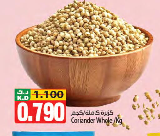 Mango Coriander متوفر لدى مانجو هايبرماركت في الكويت - محافظة الجهراء