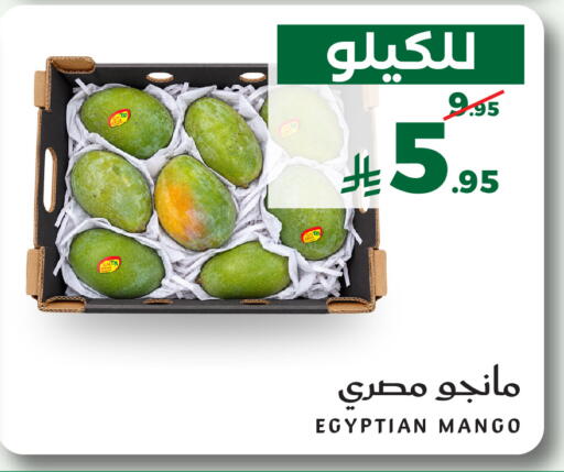 Mango من Egypt متوفر لدى ميرا مارت مول في مملكة العربية السعودية, السعودية, سعودية - جدة