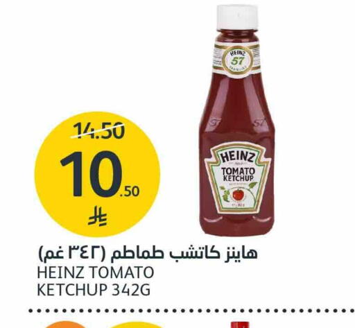 Tomato available at AlJazera Shopping Center in KSA, Saudi Arabia, Saudi - Riyadh