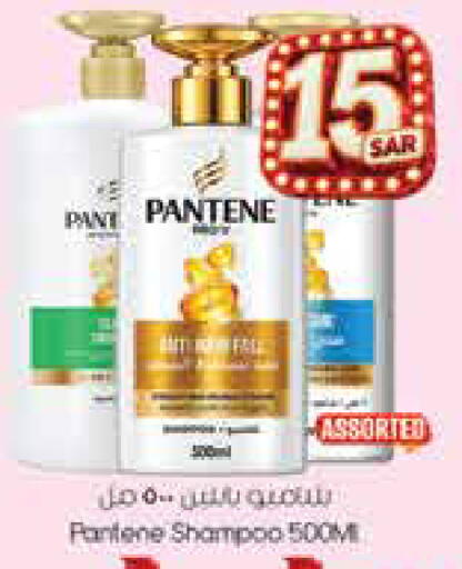 available at City Flower in KSA, Saudi Arabia, Saudi - Hail