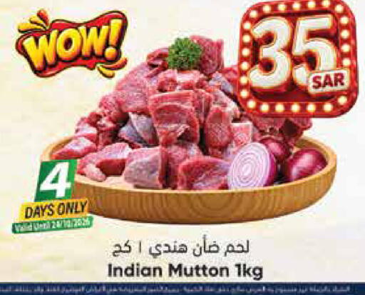 available at City Flower in KSA, Saudi Arabia, Saudi - Sakaka
